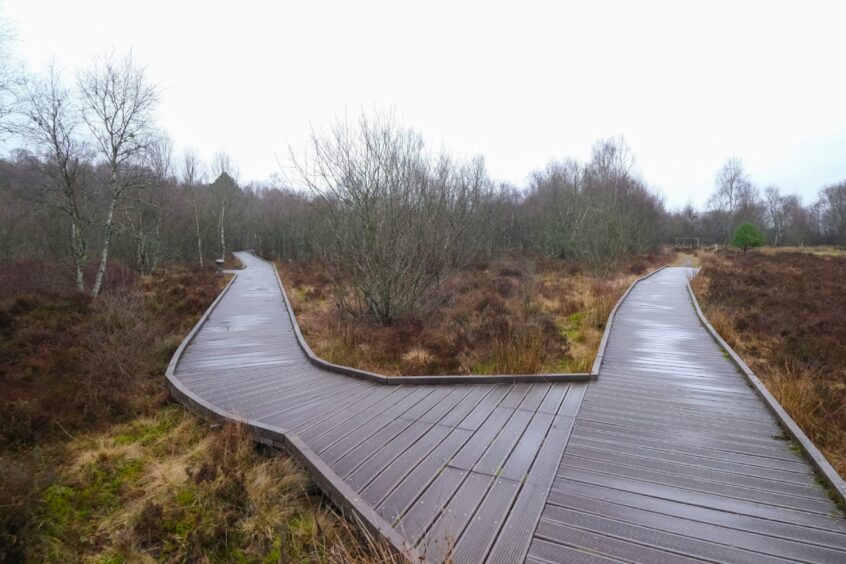 Westmuir community woodland park.