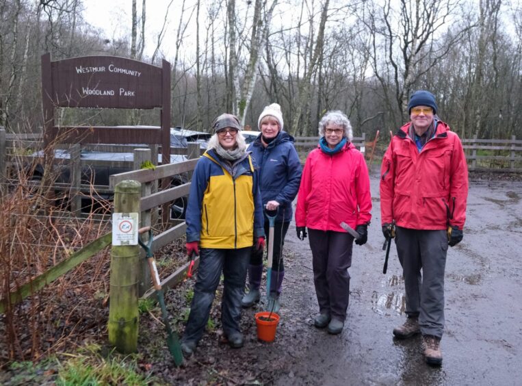 Westmuir community woodland park