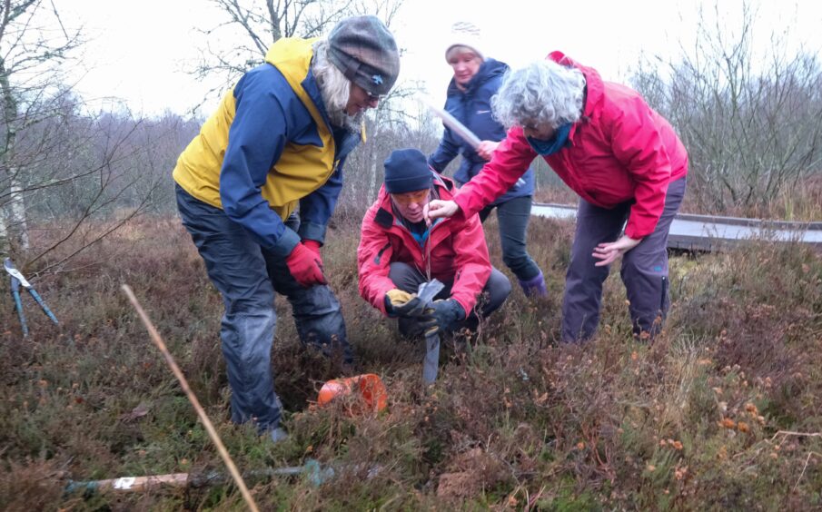 Westmuir community trust volunteers at woodland park.