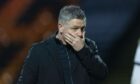 Tony Docherty is dejected after Dundee's defeat to Motherwell.