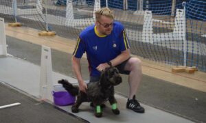 Gordon Quinton and Clyde will attend Crufts