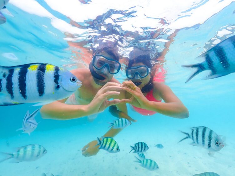 snorkeling couple form a heart with their hands as fish swim by 