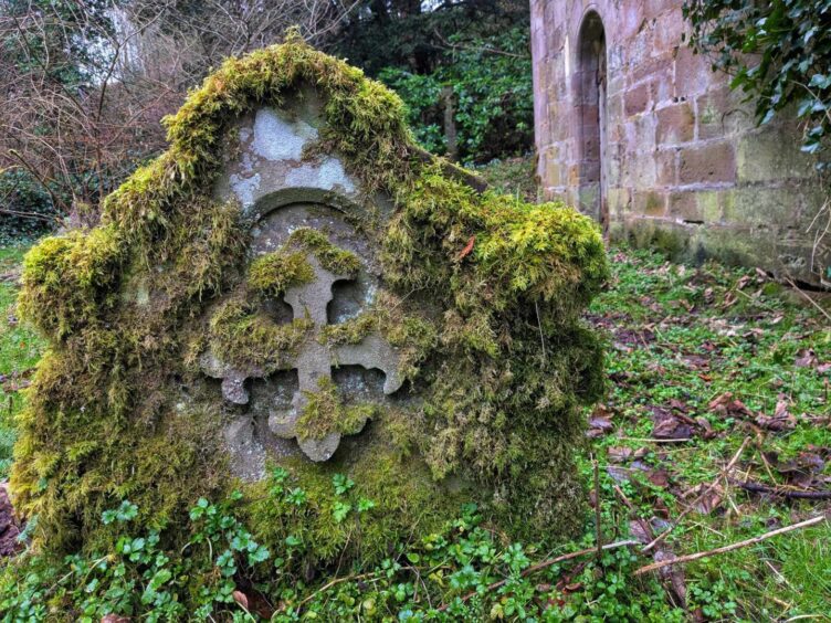 A moss-covered tombstone at Aldbar Chapel. 