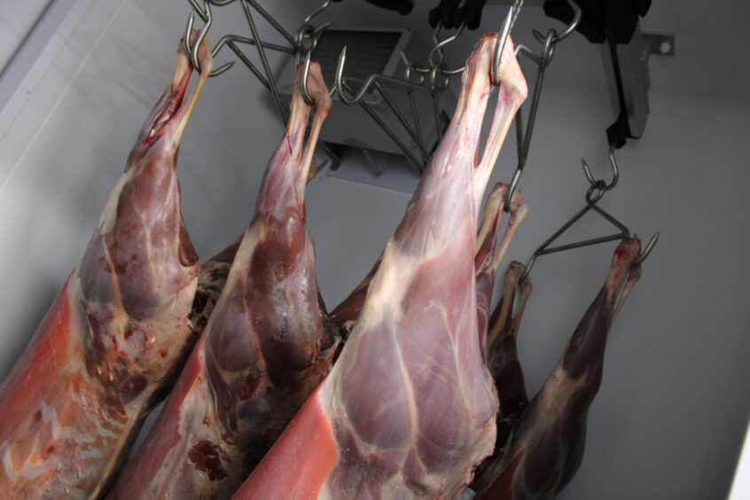 Venison awaiting preparation at Knockbarry Farm.