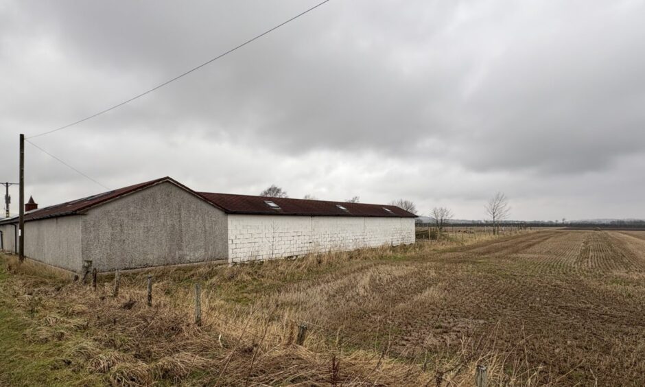 Happas Canine Centre south of Forfar is earmarked to be Scotland's first XL Bully sanctuary.