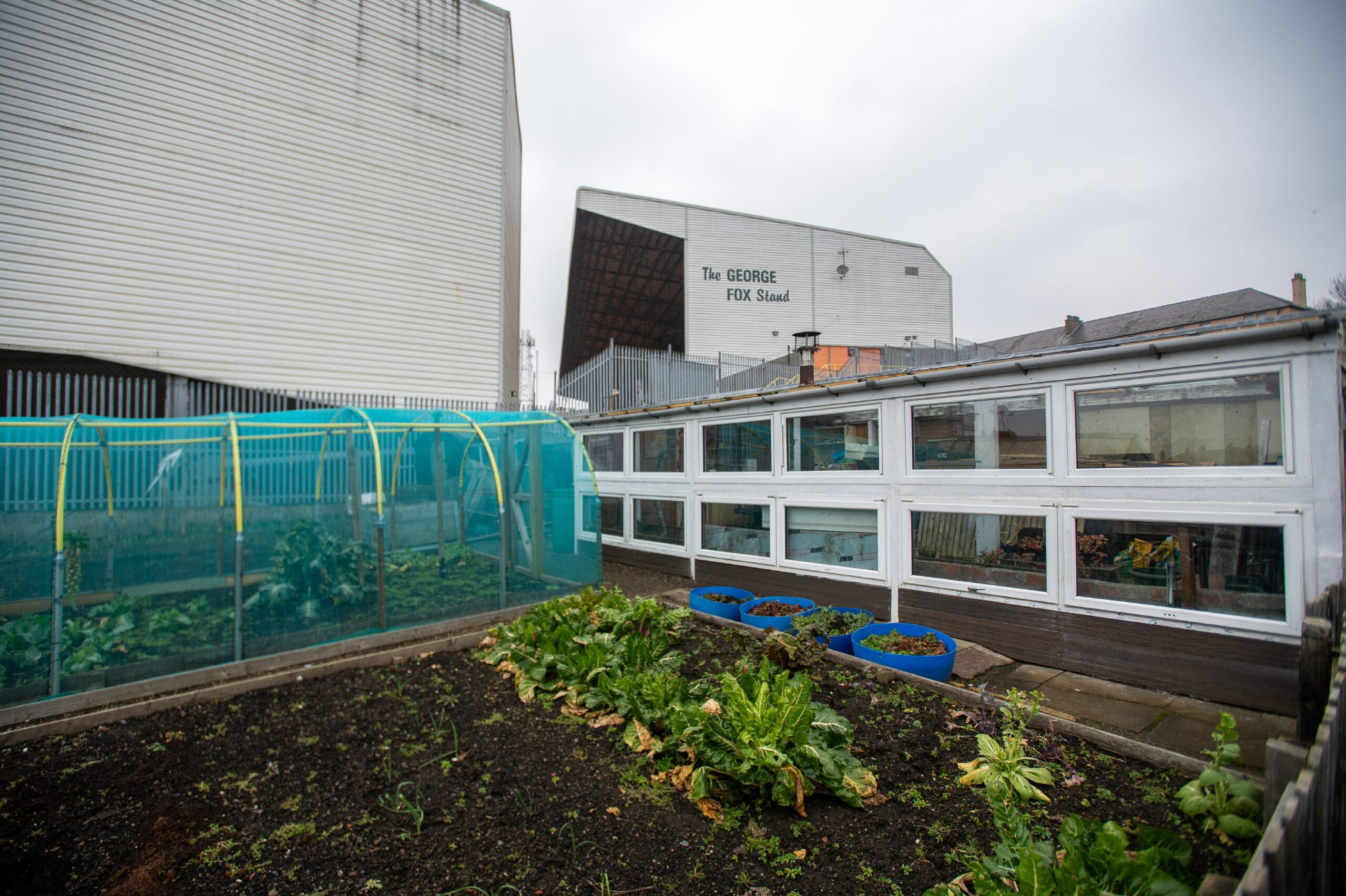 The allotments back right up to the Tannadice Park stadium.