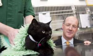 John Swinney SNP cats