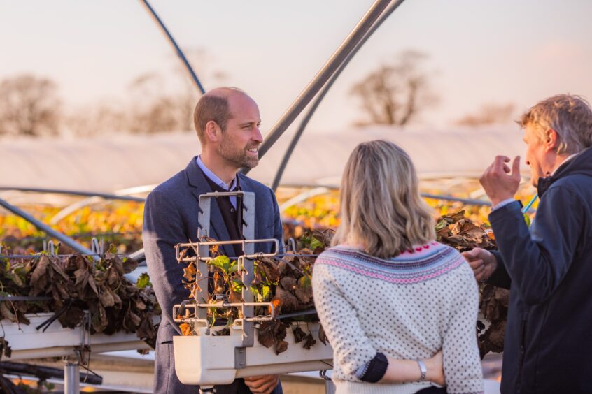 Prince William at East Scryne Farm Carnoustie.