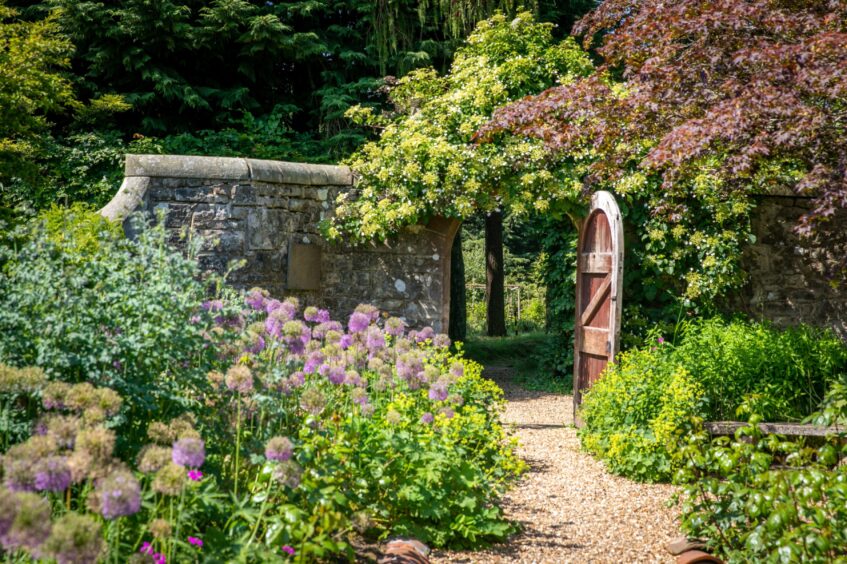 the gardens at Rufflets Hotel in St Andrews, with a flower-lined gravel path leading to a high garden wall with a wooden gate. 