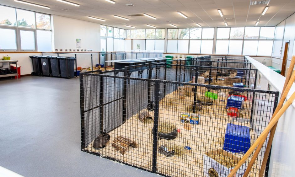 The Elmwood animal care unit when it opened in 2019