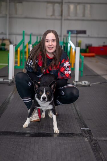 Star Paws Angus flyball team heading to Crufts.