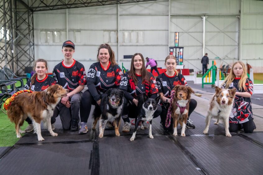 Star Paws flyball team in training for Crufts.