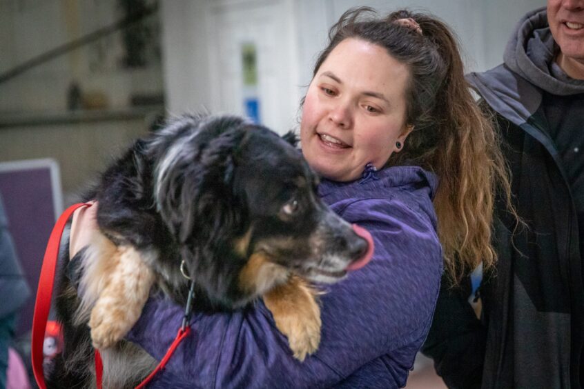 Angus Star Paws flyball team qualify for Crufts.