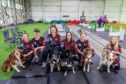 Star Paws Flyball team at a training session for Crufts 2025. Image: Steve Brown/DC Thomson