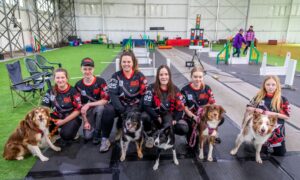 Star Paws Flyball team at a training session for Crufts 2025. Image: Steve Brown/DC Thomson