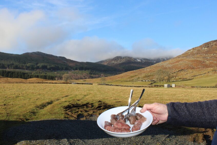 Wild venison sausages from Fair Feast at Knockbarry Farm