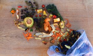 Angus food waste recycling has shown a year-on-year rise for the first time since 2016. Image: Shutterstock