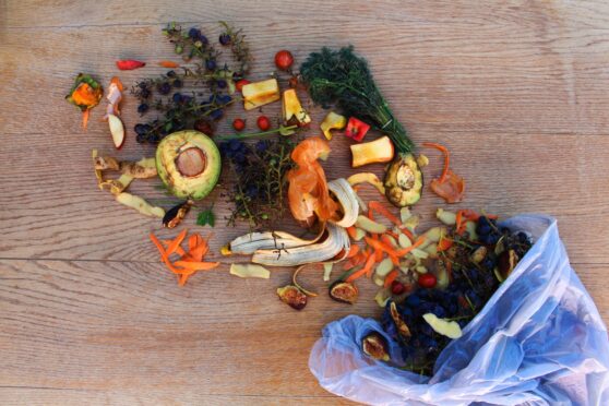 Angus food waste recycling has shown a year-on-year rise for the first time since 2016. Image: Shutterstock