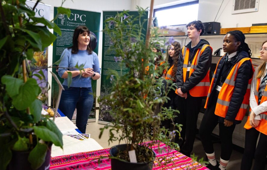 Kirriemuir pupils in daffodil research project.