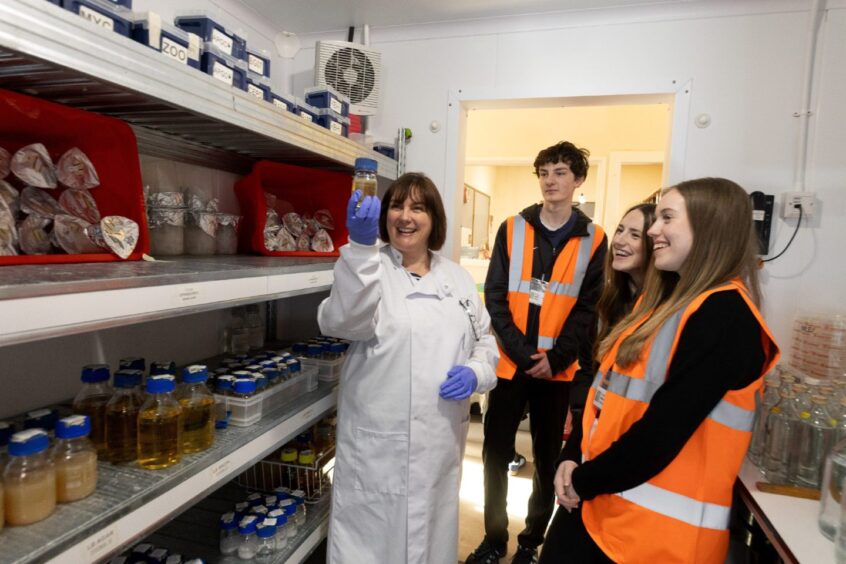 Webster's High School daffodil DNA project at James Hutton Institute.