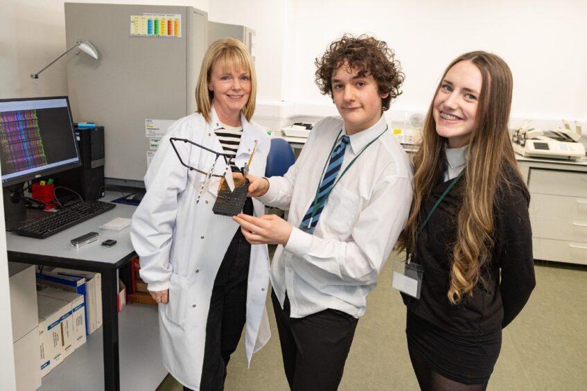 Kirriemuir school pupils participating in daffodil DNA study.