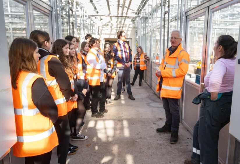 Kirriemuir school pupils taking part in daffodil DNA project.