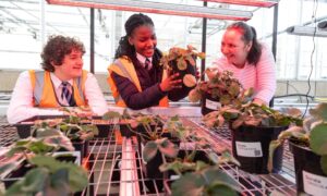 Pupils Michael Ross (left) and Menite Okoye-John with plant production technician Alison Dobson in one of the controlled lighting glasshouses. Image: Paul Reid