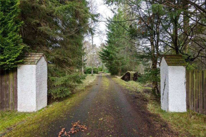 Entrance driveway to the home 