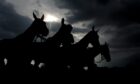 Racing horses in sillhouette.