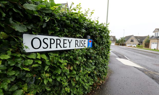 The cars were stolen from Osprey Rise. Image: DC Thomson