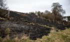 A patch of scorched grass close to the Dighty Burn in Dundee