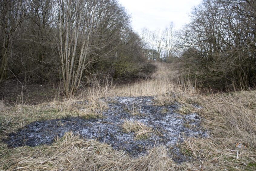 Smaller pockets of scorched grass appear along the burn. 