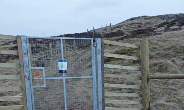 There are serious concerns about a 'corridor effect' due to new fencing on Dumyat. Image: Supplied