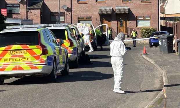 White-suited Scene of the Crime officers are carrying out investigations on Earlston Avenue in Dundee. Image: Neil Henderson/DC Thomson