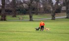 Baxter Park is a popular spot for dog walkers. Image: Kim Cessford/DC Thomson
