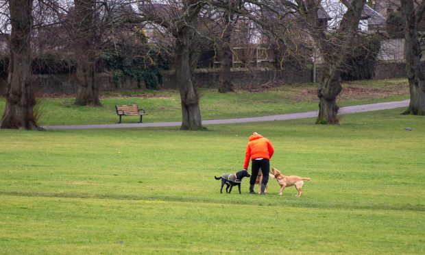 Baxter Park is a popular spot for dog walkers. Image: Kim Cessford/DC Thomson