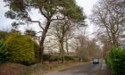 Storm-damaged trees hang over the main drive at Letham Grange. Image: Kim Cessford/DC Thomson