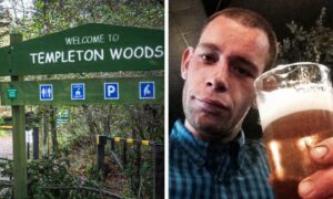 Templeton Woods sign, Stephen Bell