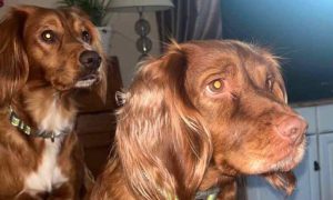 Tia (right) and her daughter Daisy went missing on Monday.