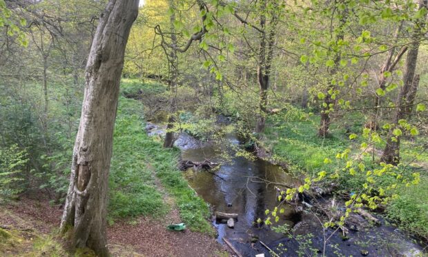 Serial sex attacker raped four girls in one year in Dundee