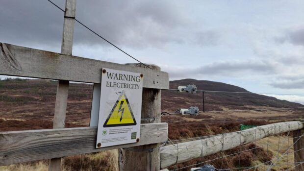 Electric fence sign with Schiehallion in distance