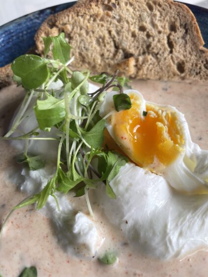 Poached eggs in a yoghurt and harissa sauce with microgreens on top in a blue bowl.
