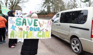 A campaign to save animal care at Elmwood failed as closure is confirme