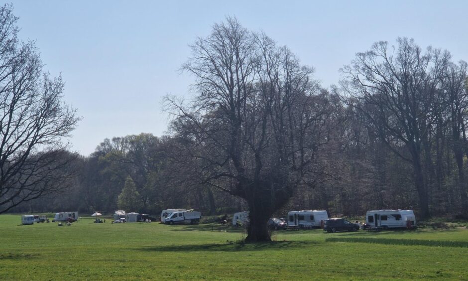Caravans are parked up at Camperdown.