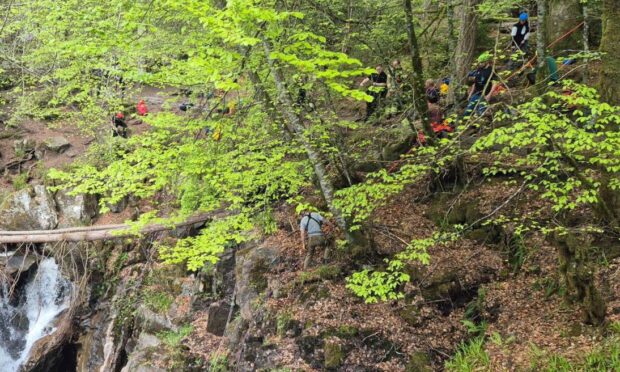 Rescue crews at the scene at The Hermitage