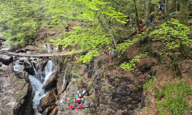 Rescue crews at the scene at The Hermitage