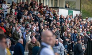 Crowds line the stands to get a view of the racing.
