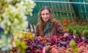Cheryl among the plants at Bridgend Garden Centre