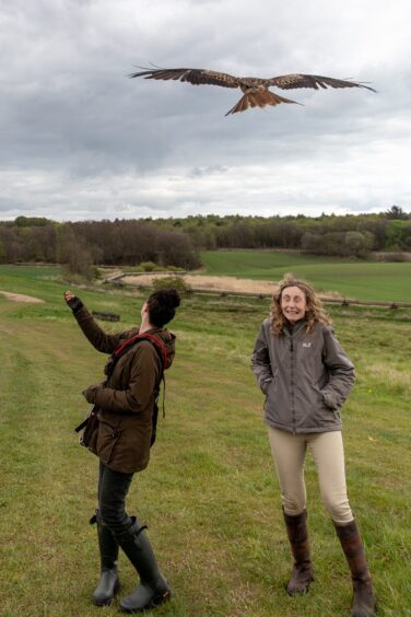Red kite Robyn in flight above Roxanne and Cheryl. 