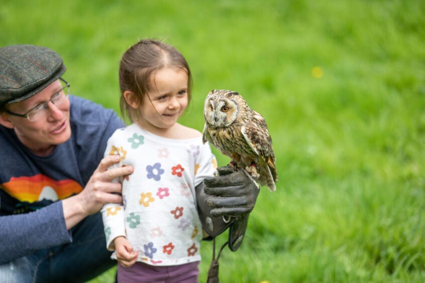 The long-eared owl delights a young girl visiting.